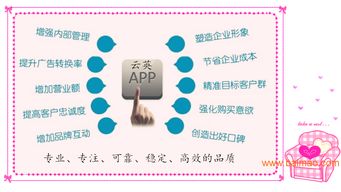安卓手機應用軟件開發(fā)全解析 廠商選擇與價格因素